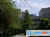 秀山民族中学2024年招生计划