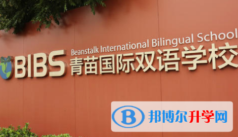 青苗国际双语学校2023年招生计划