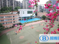 重庆第四十二中学校2024年报名条件、招生要求、招生对象
