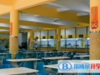 四川外语学院附属外国语学校2024年学费、收费多少