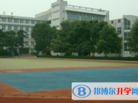成都石室锦城外国语学校2024年排名