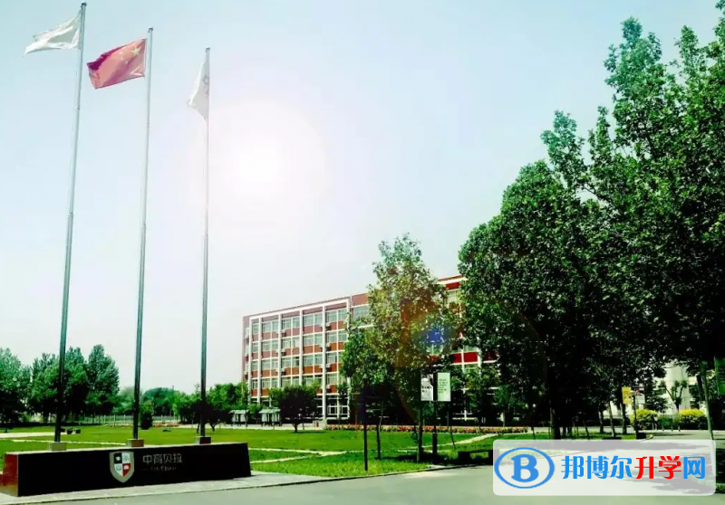  北京贝拉国际高中2023年招生政策