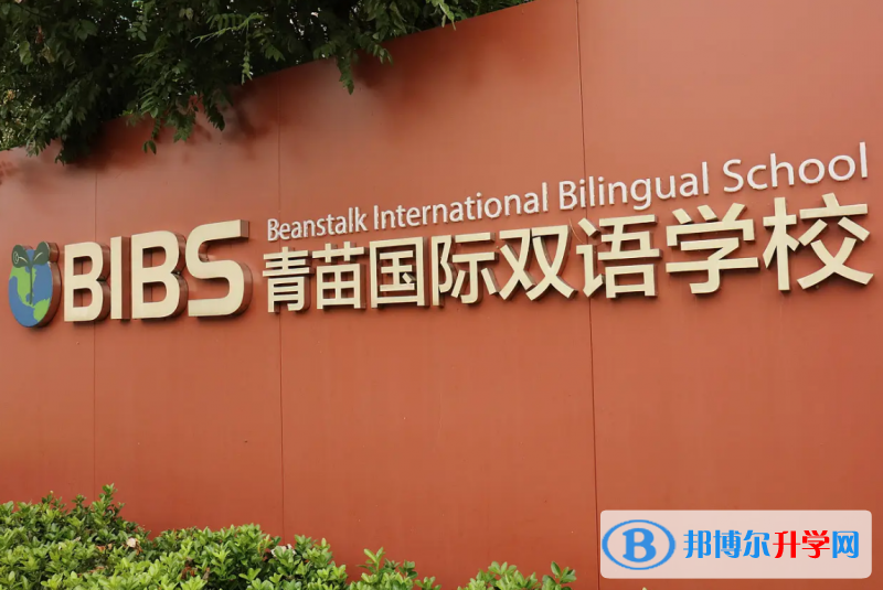  北京青苗国际双语学校2023年入学条件