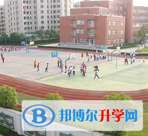 上海新虹桥中学国际部2023年招生政策
