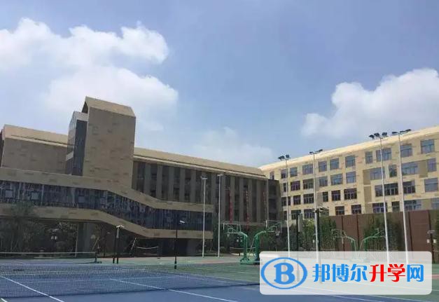 南京师范大学附属实验学校国际部2023年学费标准