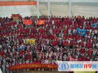 北京师范大学芜湖附属学校2024年报名条件、招生要求、招生对象