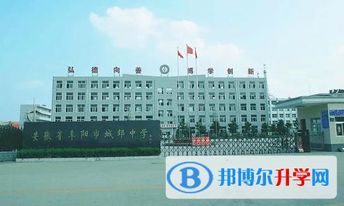 阜阳城郊中学录取分数线(2023年参考)