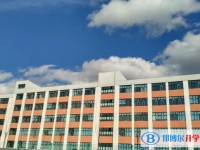 2024汤原县高级中学招生计划 招生人数是多少(附要求、条件、对象)
