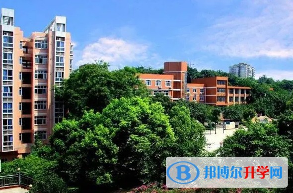 2024重庆市朝阳中学校招生计划 招生人数是多少(附要求、条件、对象)