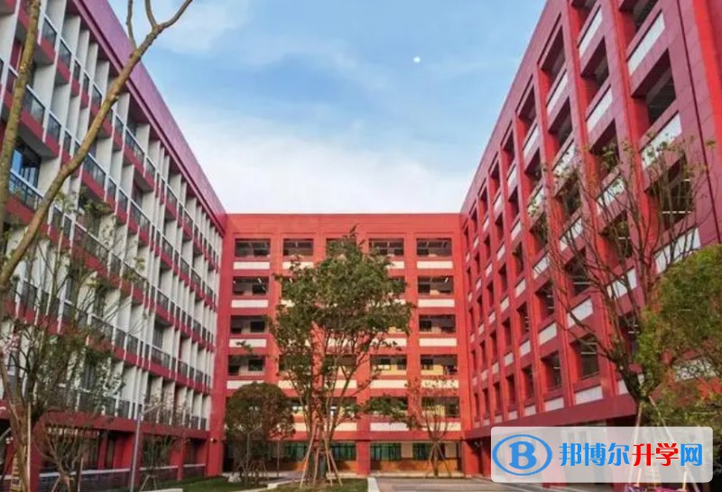 2024重庆市巴蜀科学城中学校招生计划 招生人数是多少(附要求、条件、对象)