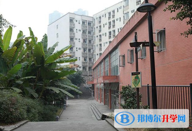 重庆市南开融侨中学校怎么样、好不好