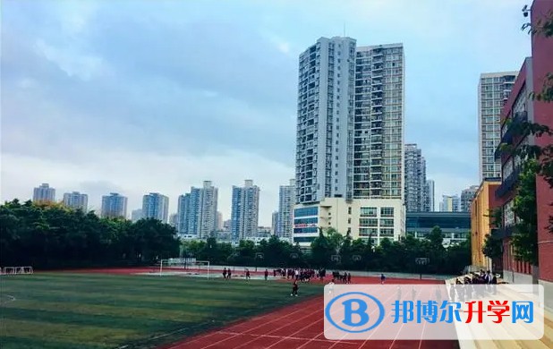 2024重庆市松树桥中学校招生计划 招生人数是多少(附要求、条件、对象)