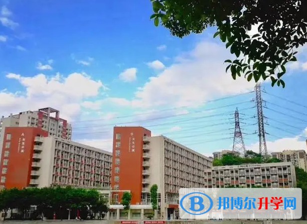 2024重庆市鲁能巴蜀中学校招生计划 招生人数是多少(附要求、条件、对象)