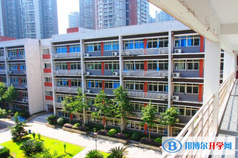 2024重庆市北新巴蜀中学校招生计划 招生人数是多少(附要求、条件、对象)