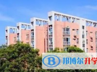 2024重庆市文理学院附属中学校招生计划 招生人数是多少(附要求、条件、对象)